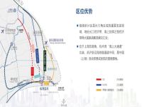 奉賢海灣經(jīng)濟(jì)開發(fā)區(qū)：臨港新片區(qū)內(nèi)的瑰寶