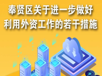 奉賢區(qū)關(guān)于進(jìn)一步做好利用外資工作的若干措施