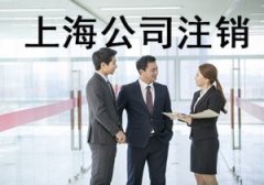 公司注銷主要流程-上海臨港奉賢經(jīng)濟園區(qū)，免費注冊公司！多元化服務(wù)！