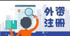 注冊專家王老師解答什么是外資企業(yè)？-上海奉賢經(jīng)濟(jì)園區(qū)，優(yōu)惠注冊公司??！