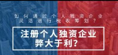 注冊(cè)個(gè)人獨(dú)資企業(yè)的優(yōu)勢(shì)-上海奉賢經(jīng)濟(jì)園區(qū)，園區(qū)直招0元注冊(cè)公司！