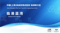 中國(guó)（上海）自貿(mào)新片區(qū)-臨港藍(lán)灣，注冊(cè)落戶易居易業(yè)！